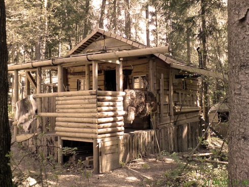Holzhütte im Wald