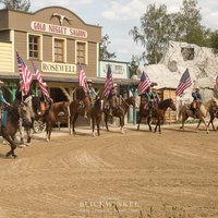 Westernpferd