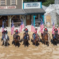 Westernpferd