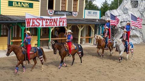 Westernpferd