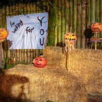 Halloween Special Halloween Special