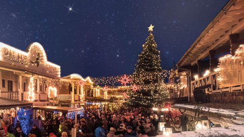 Deutsch-amerikanischer Weihnachtsmarkt