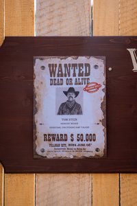 An einer Holzwand hängt ein Steckbrief. Auf dem Plakat ist ein bärtiger Mann mit Hut abgebildet. Darüber steht „WANTED DEAD OR ALIVE“ und darunter „Belohnung 50.000 $“. Im weiteren Text finden sich Kleingedrucktes zu den Bedingungen für die Belohnung.
