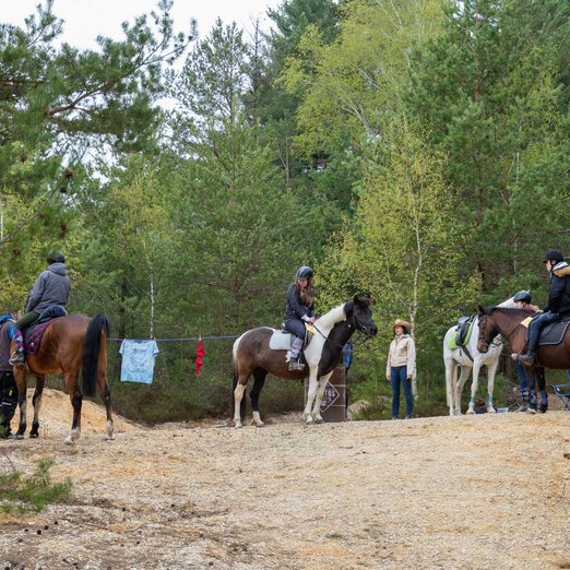 Reiter auf ihren Pferden im Wald