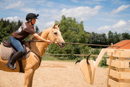 Eine Person mit Helm reitet im Freien auf einem braunen Pferd und übt mit einer Lanze an einer hölzernen Trainingspuppe. Der Himmel ist blau mit vereinzelten Wolken, im Hintergrund sind Bäume und ein Gebäude mit rotem Dach zu sehen.