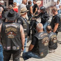 Harley Treffen