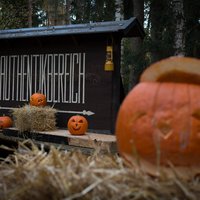 Halloween Special