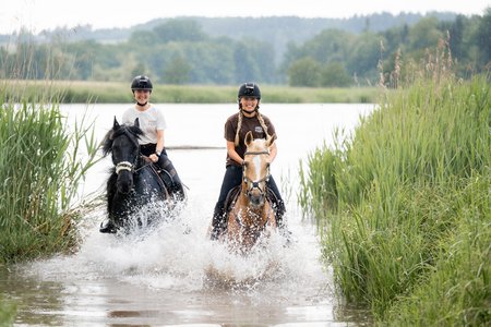 Zwei Menschen reiten auf Pferden durch einen seichten Wasserweg, umgeben von hohem Gras und einer malerischen, von Bäumen gesäumten Kulisse. Einer reitet auf einem schwarzen Pferd, der andere auf einem braunen. Beide Reiter tragen Helme und scheinen den Ritt zu genießen.