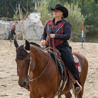 Westernpferd