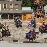 Westernpferd