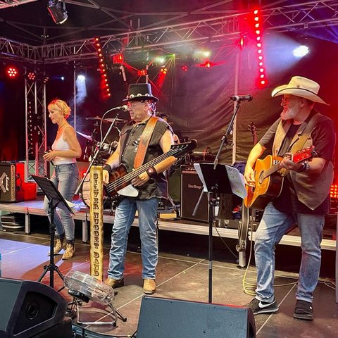 Silver Nugget Band